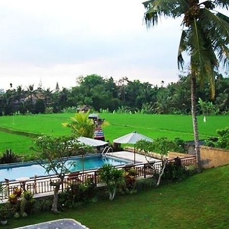 Nyoman Karsa Bungalow Hotel Ubud  Exterior photo